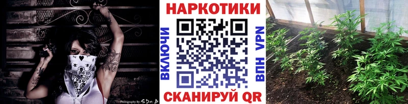 Конопля Кемь