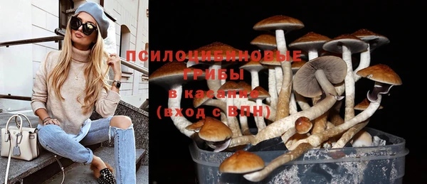 MDMA Premium VHQ Мурманск