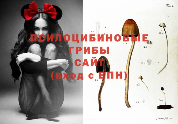 таблы Ладушкин